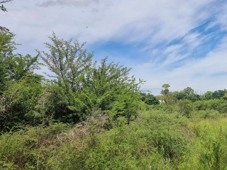 0 Bedroom Property for Sale in Parys Free State